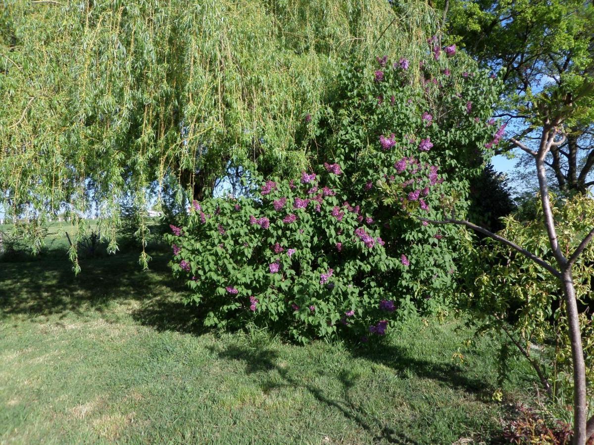 Cheillé Bienvenue A L'Andruere B&B 외부 사진